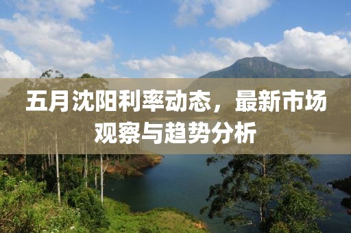 五月沈阳利率动态，最新市场观察与趋势分析