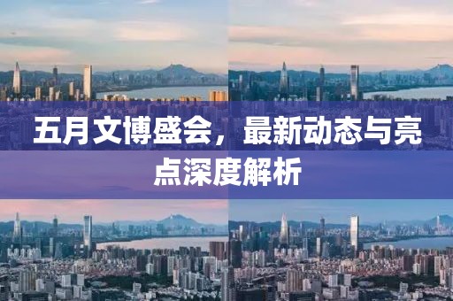 五月文博盛会，最新动态与亮点深度解析