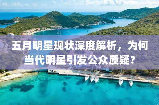 五月明星现状深度解析，为何当代明星引发公众质疑？