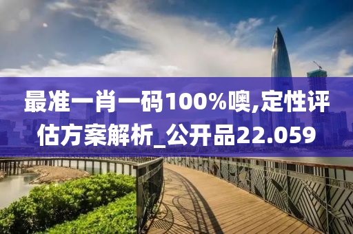 最准一肖一码100%噢,定性评估方案解析_公开品22.059