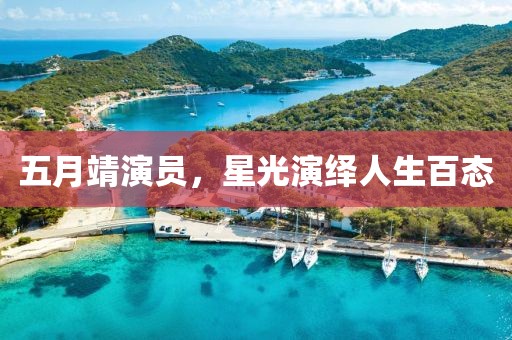 五月靖演员，星光演绎人生百态
