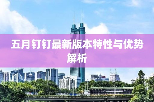 五月钉钉最新版本特性与优势解析
