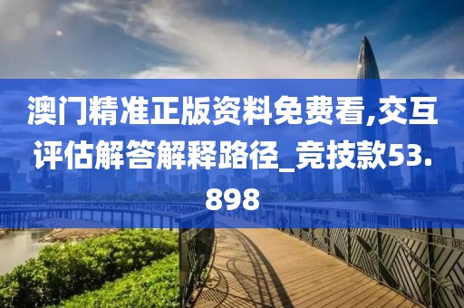 澳门精准正版资料免费看,交互评估解答解释路径_竞技款53.898