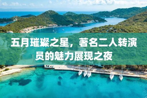 五月璀璨之星，著名二人转演员的魅力展现之夜