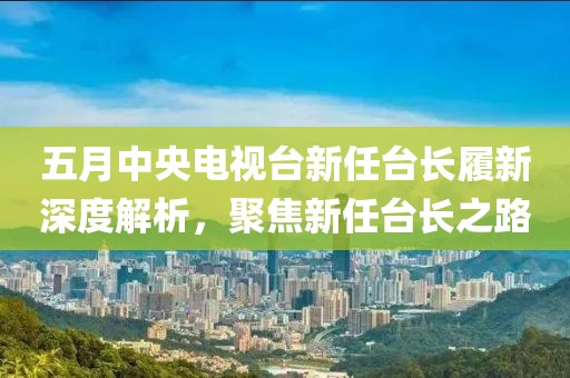 五月中央电视台新任台长履新深度解析，聚焦新任台长之路