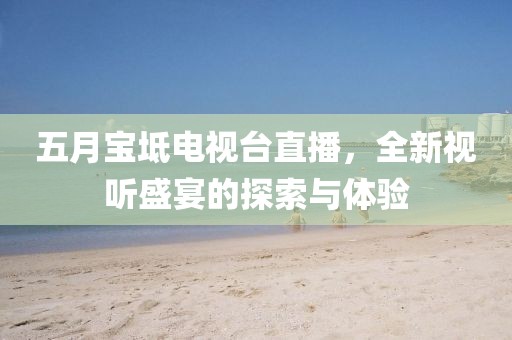 五月宝坻电视台直播，全新视听盛宴的探索与体验
