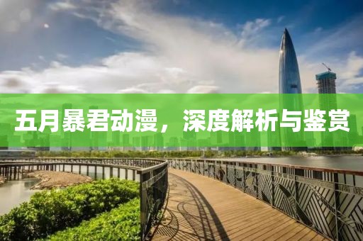 五月暴君动漫，深度解析与鉴赏