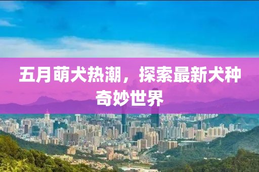 五月萌犬热潮，探索最新犬种奇妙世界