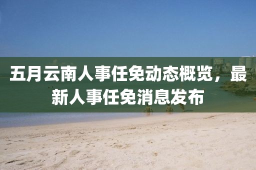 五月云南人事任免动态概览，最新人事任免消息发布