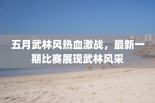 五月武林风热血激战，最新一期比赛展现武林风采