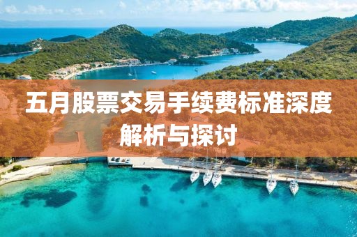 五月股票交易手续费标准深度解析与探讨