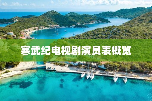 寒武纪电视剧演员表概览