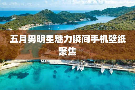 五月男明星魅力瞬间手机壁纸聚焦