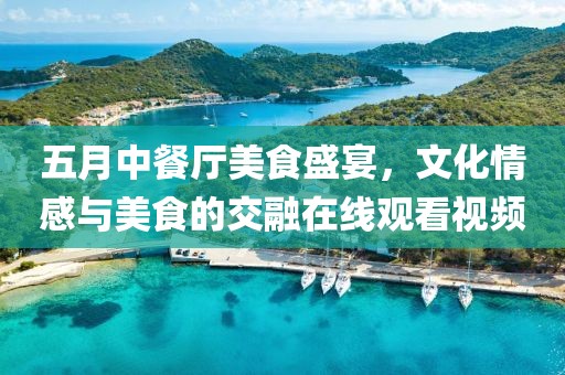 五月中餐厅美食盛宴，文化情感与美食的交融在线观看视频