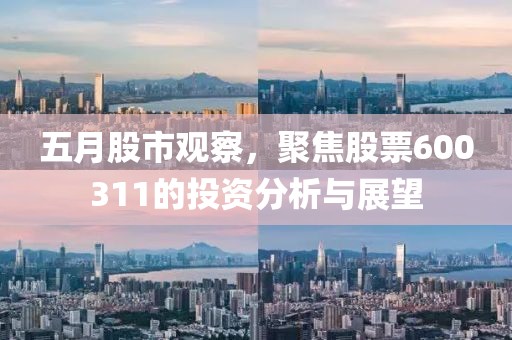 五月股市观察，聚焦股票600311的投资分析与展望