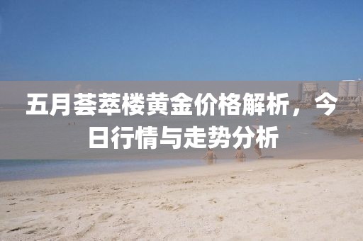 五月荟萃楼黄金价格解析，今日行情与走势分析