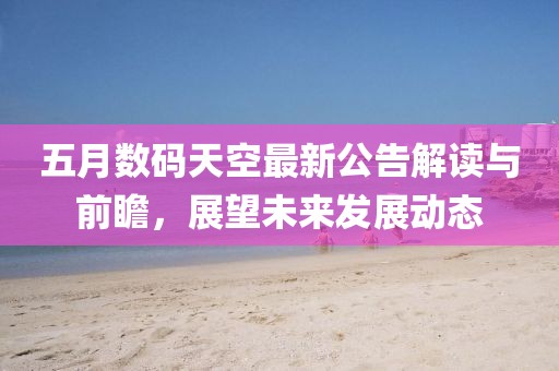 五月数码天空最新公告解读与前瞻，展望未来发展动态