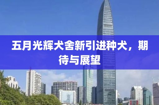 五月光辉犬舍新引进种犬，期待与展望
