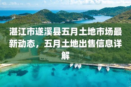 湛江市遂溪县五月土地市场最新动态，五月土地出售信息详解
