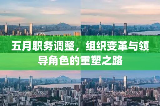 五月职务调整，组织变革与领导角色的重塑之路