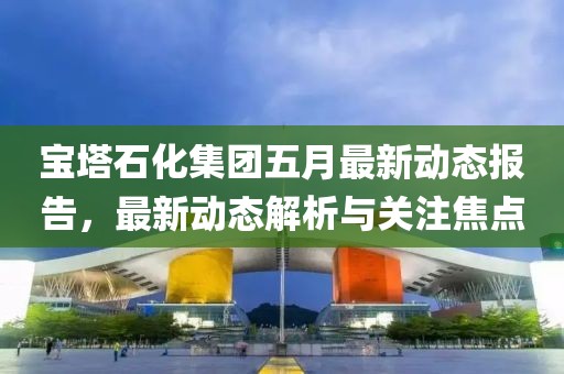 宝塔石化集团五月最新动态报告，最新动态解析与关注焦点