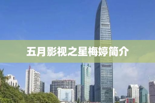 五月影视之星梅婷简介