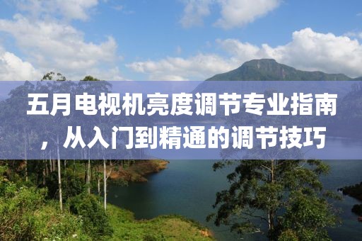五月电视机亮度调节专业指南，从入门到精通的调节技巧