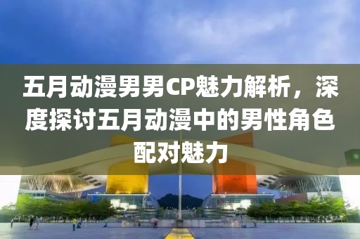 五月动漫男男CP魅力解析，深度探讨五月动漫中的男性角色配对魅力