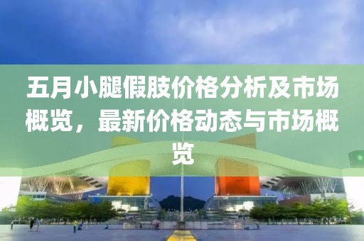 五月小腿假肢价格分析及市场概览，最新价格动态与市场概览