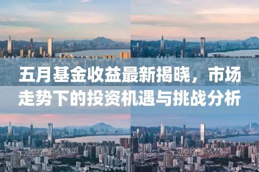 五月基金收益最新揭晓，市场走势下的投资机遇与挑战分析