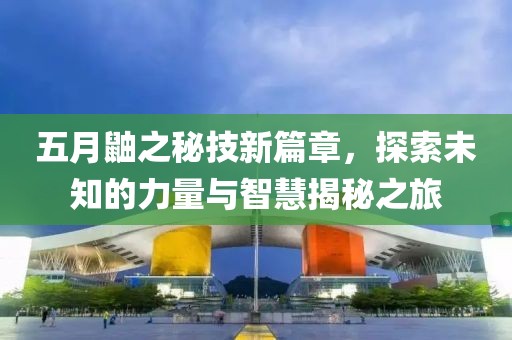 五月鼬之秘技新篇章，探索未知的力量与智慧揭秘之旅