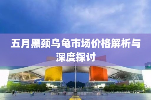 五月黑颈乌龟市场价格解析与深度探讨