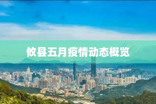 攸县五月疫情动态概览