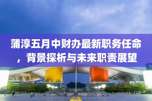 蒲淳五月中财办最新职务任命，背景探析与未来职责展望
