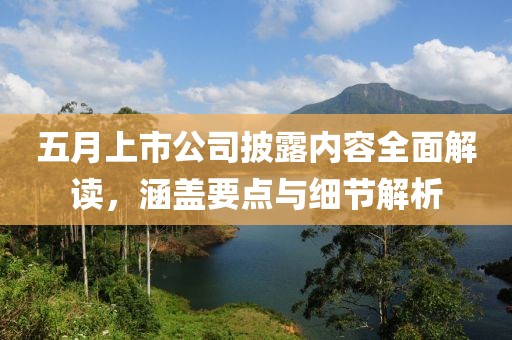 五月上市公司披露内容全面解读，涵盖要点与细节解析