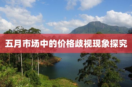 五月市场中的价格歧视现象探究