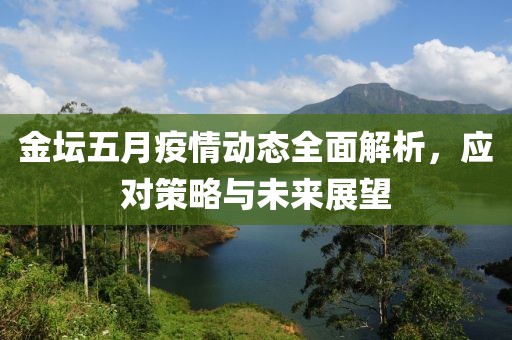 金坛五月疫情动态全面解析，应对策略与未来展望