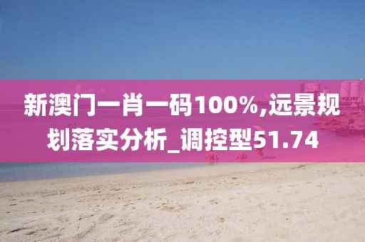 新澳门一肖一码100%,远景规划落实分析_调控型51.74