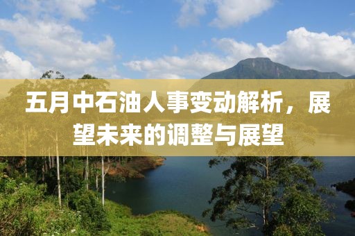 五月中石油人事变动解析，展望未来的调整与展望