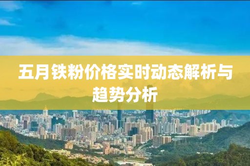 五月铁粉价格实时动态解析与趋势分析