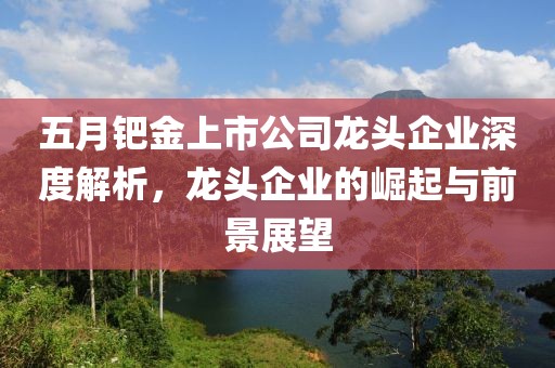 五月钯金上市公司龙头企业深度解析，龙头企业的崛起与前景展望