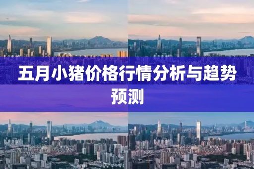 五月小猪价格行情分析与趋势预测