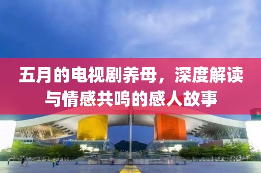 五月的电视剧养母，深度解读与情感共鸣的感人故事