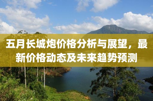 五月长城炮价格分析与展望，最新价格动态及未来趋势预测
