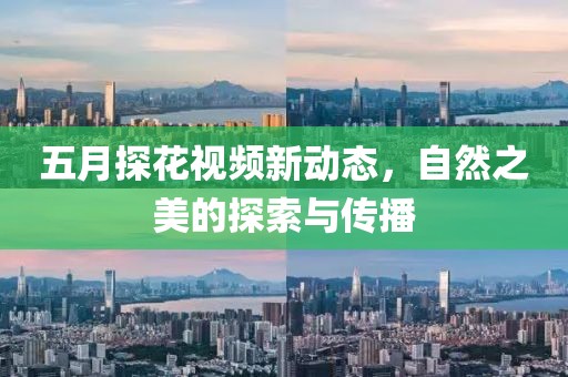 五月探花视频新动态，自然之美的探索与传播