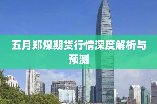 五月郑煤期货行情深度解析与预测