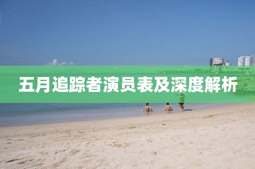 五月追踪者演员表及深度解析