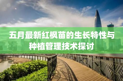 五月最新红枫苗的生长特性与种植管理技术探讨
