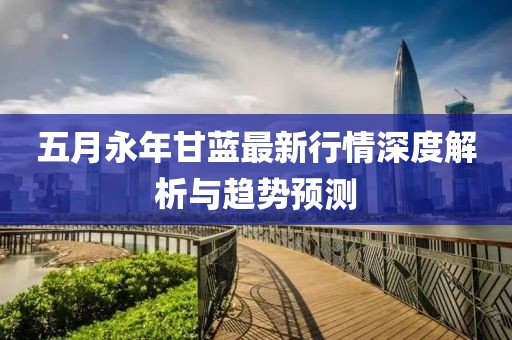 五月永年甘蓝最新行情深度解析与趋势预测