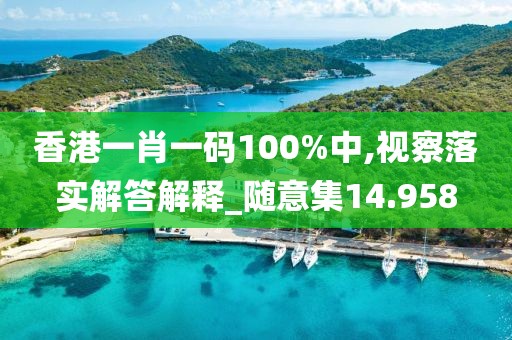 香港一肖一码100%中,视察落实解答解释_随意集14.958